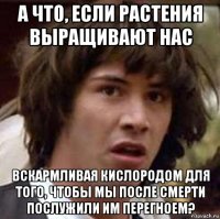 а что, если растения выращивают нас вскармливая кислородом для того, чтобы мы после смерти послужили им перегноем?