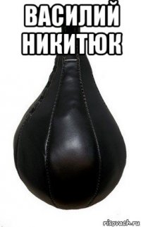 василий никитюк 