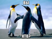 вы кто?