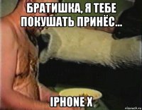 братишка, я тебе покушать принёс... iphone x