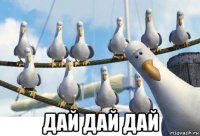  дай дай дай