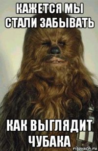 кажется мы стали забывать как выглядит чубака