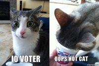 IO VOTER OOPS NOT CAT