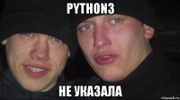 python3 не указала