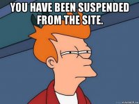 you have been suspended from the site. 