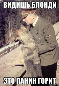 видишь,блонди это панин горит
