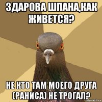 здарова шпана,как живется? не кто там моего друга (раниса) не трогал?