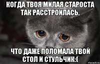 когда твоя милая староста так расстроилась, что даже поломала твой стол и стульчик:(