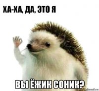  вы ёжик соник?