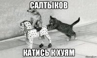 салтыков катись к хуям