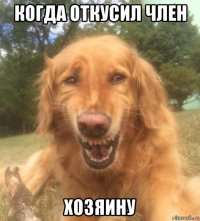 когда откусил член хозяину