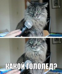  КАКОЙ ГОЛОЛЕД?