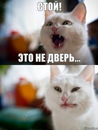 Стой! Это не дверь...