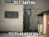 псс, парень теслу не хочешь?