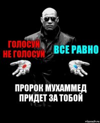 Голосуй не голосуй все равно пророк мухаммед придет за тобой