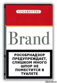 Рособрнадзор предупреждает, слишком много шпор не поместится в туалете