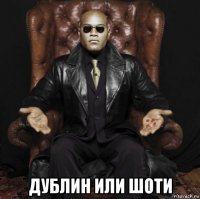  дублин или шоти