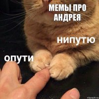 Мемы про Андрея 