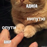 Адиса Аюр