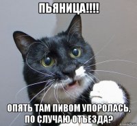 пьяница!!!! опять там пивом упоролась, по случаю отъезда?