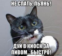не спать, пьянь! дуй в киоск за пивом...быстро!