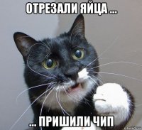 отрезали яйца ... ... пришили чип