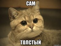 сам толстый