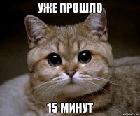 уже прошло 15 минут