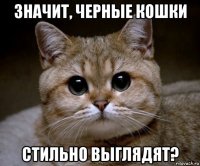 значит, черные кошки стильно выглядят?