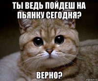 ты ведь пойдеш на пьянку сегодня? верно?