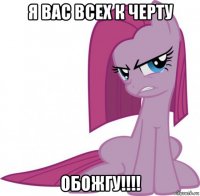 я вас всех к черту обожгу!!!!
