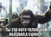  -ты это кого человеком обозвал,а сцуко?!