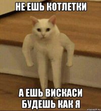 не ешь котлетки а ешь вискаси будешь как я