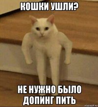 кошки ушли? не нужно было допинг пить