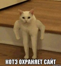  котэ охраняет сайт