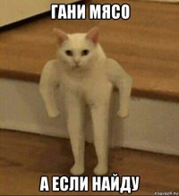 гани мясо а если найду