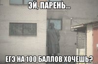  егэ на 100 баллов хочешь?