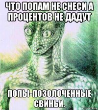 что попам не снеси а процентов не дадут попы-позолоченные свиньи.