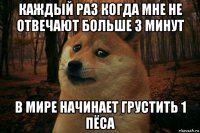 каждый раз когда мне не отвечают больше 3 минут в мире начинает грустить 1 пёса