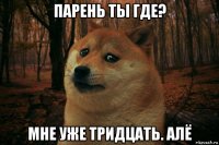 парень ты где? мне уже тридцать. алё