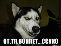 от.тя.воняет...ссуко