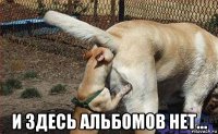  и здесь альбомов нет...