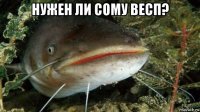 нужен ли сому весп? 