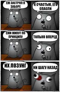 Еж застрял в заборе к счастью, его спасли ежи живут по принципу только вперед их лозунг ни шагу назад