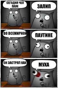 СЕГОДНЯ ЧЕЛ ПАУК ЗАЛИП ВО ВСЕМИРНОЙ ПАУТИНЕ ОН ЗАСТРЯЛ КАК МУХА