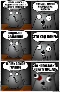 Собчак заявила о выдвижении в качестве кандидата в президенты Она будет темной лошадкой на выборах Подобное заявление это ход конем теперь самое главное это не поставить не на ту лошадь