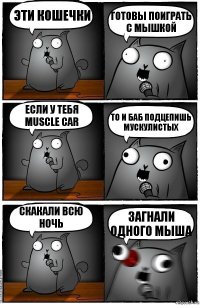 Эти кошечки готовы поиграть с мышкой Если у тебя muscle car то и баб подцепишь мускулистых скакали всю ночь загнали одного мыша