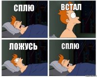 сплю встал ложусь сплю