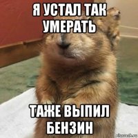 я устал так умерать таже выпил бензин