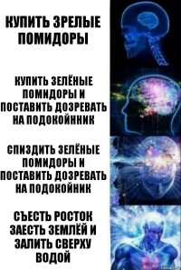 Купить зрелые помидоры купить зелёные помидоры и поставить дозревать на подокойнник спиздить зелёные помидоры и поставить дозревать на подокойник Съесть росток заесть землёй и залить сверху водой